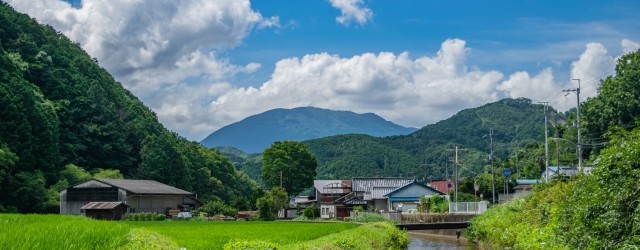 国内移住イメージ