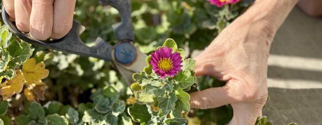 習い事イメージ