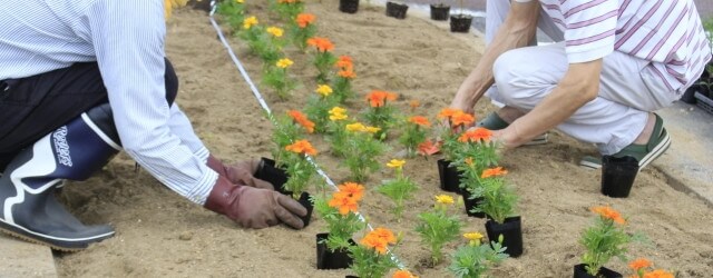 ボランティアイメージ